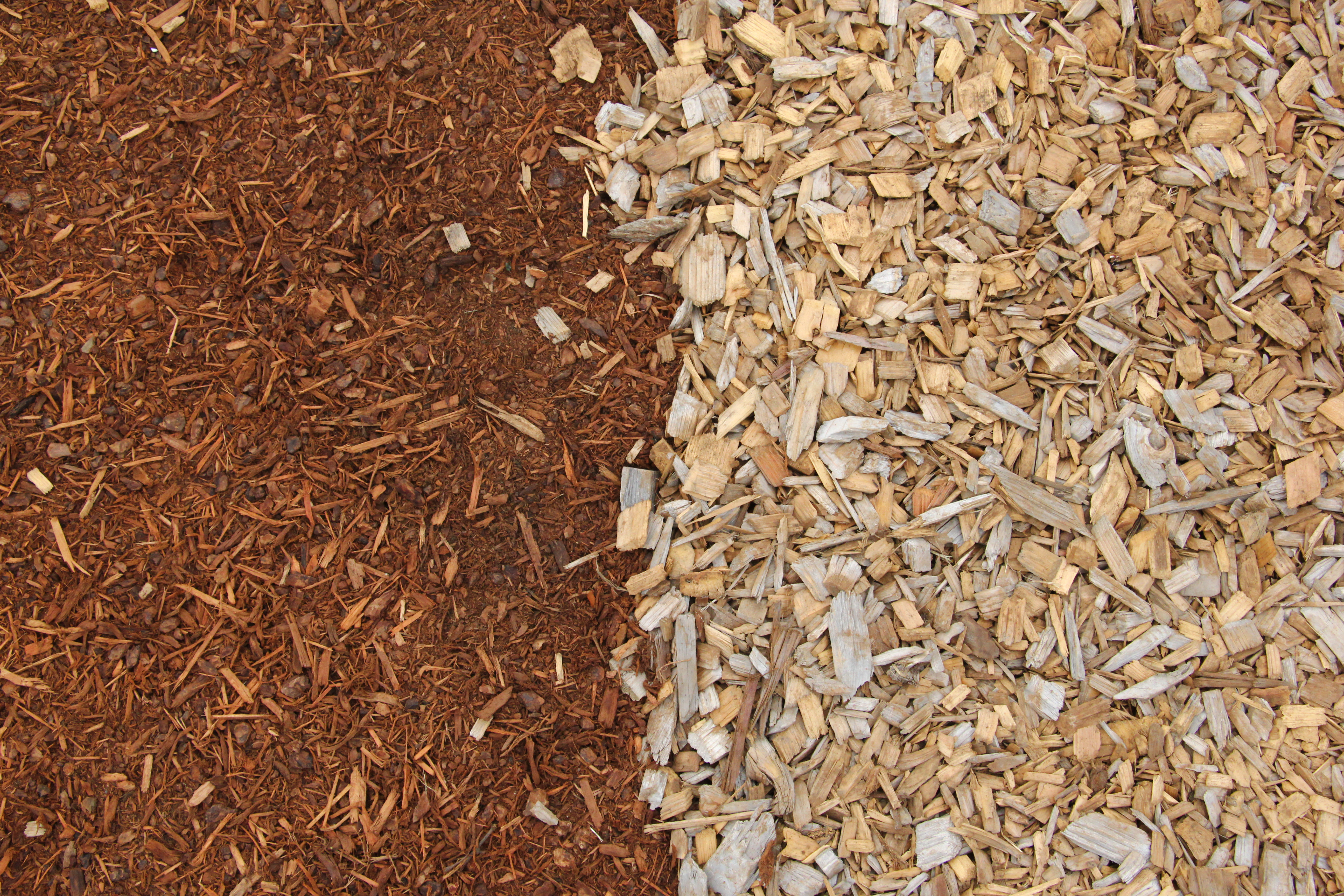 Ground Outside Wood Chips With Red Chips