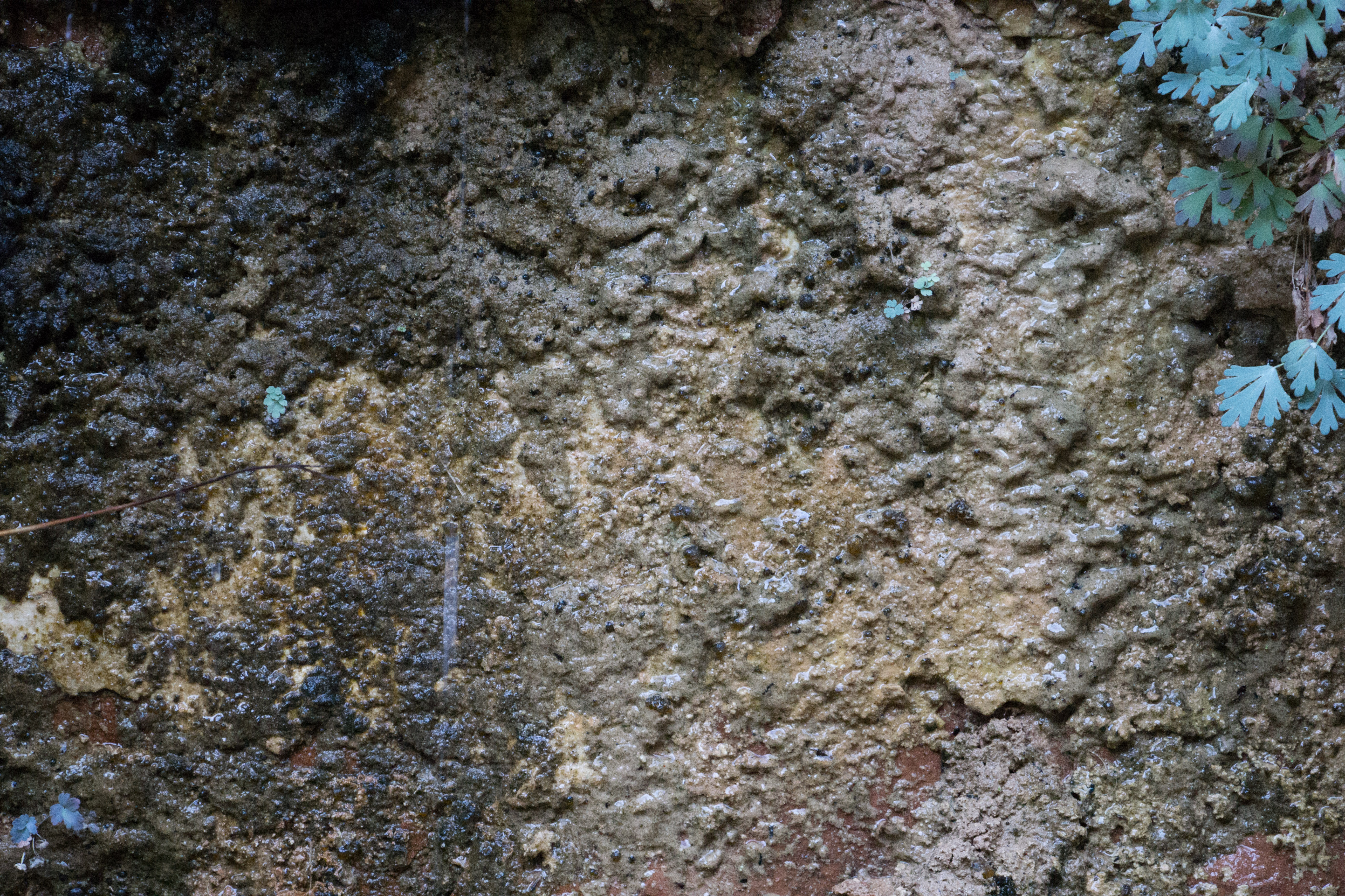 Grunge Floor Rock Debris Mix