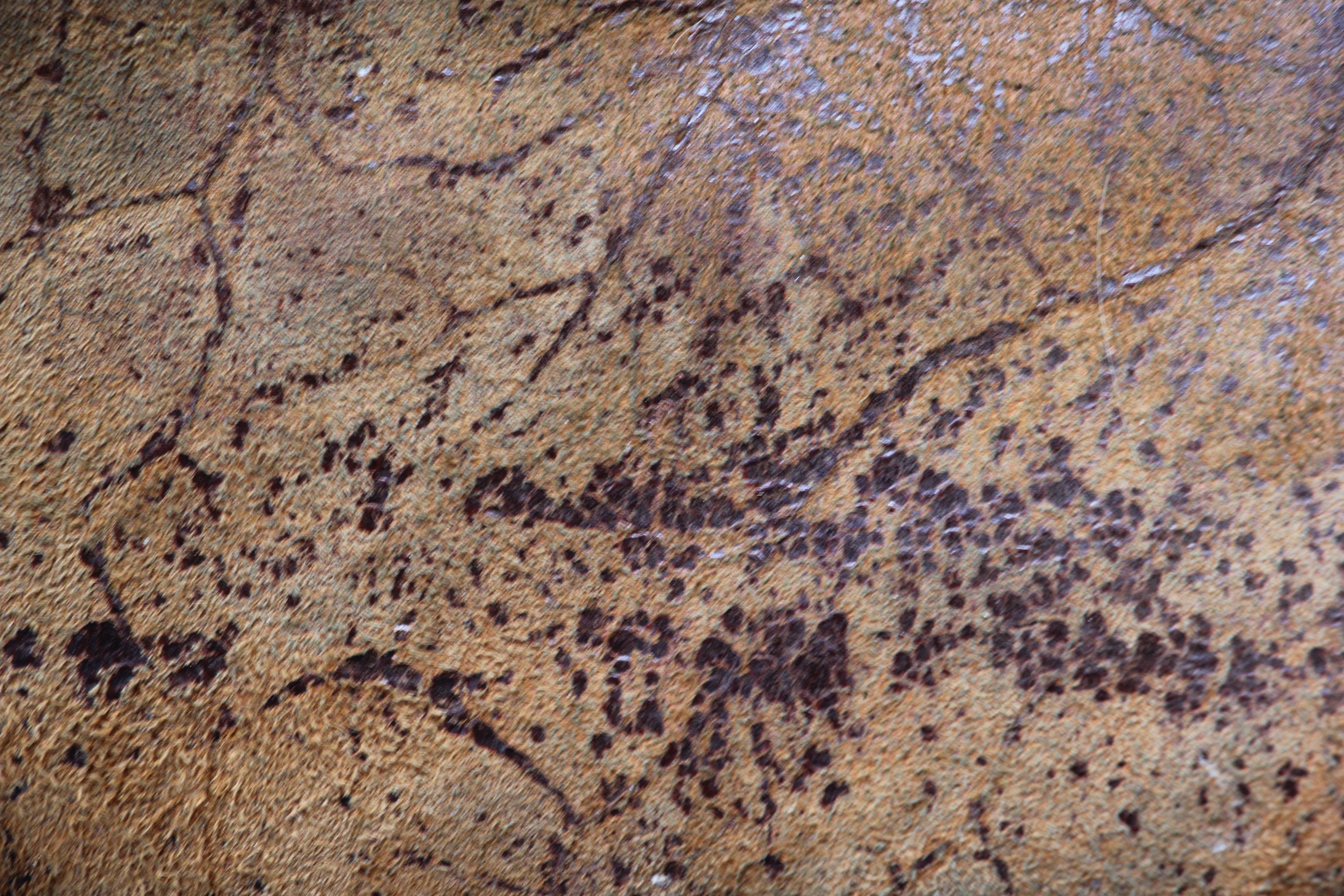 Grunge Leather Old Close Up