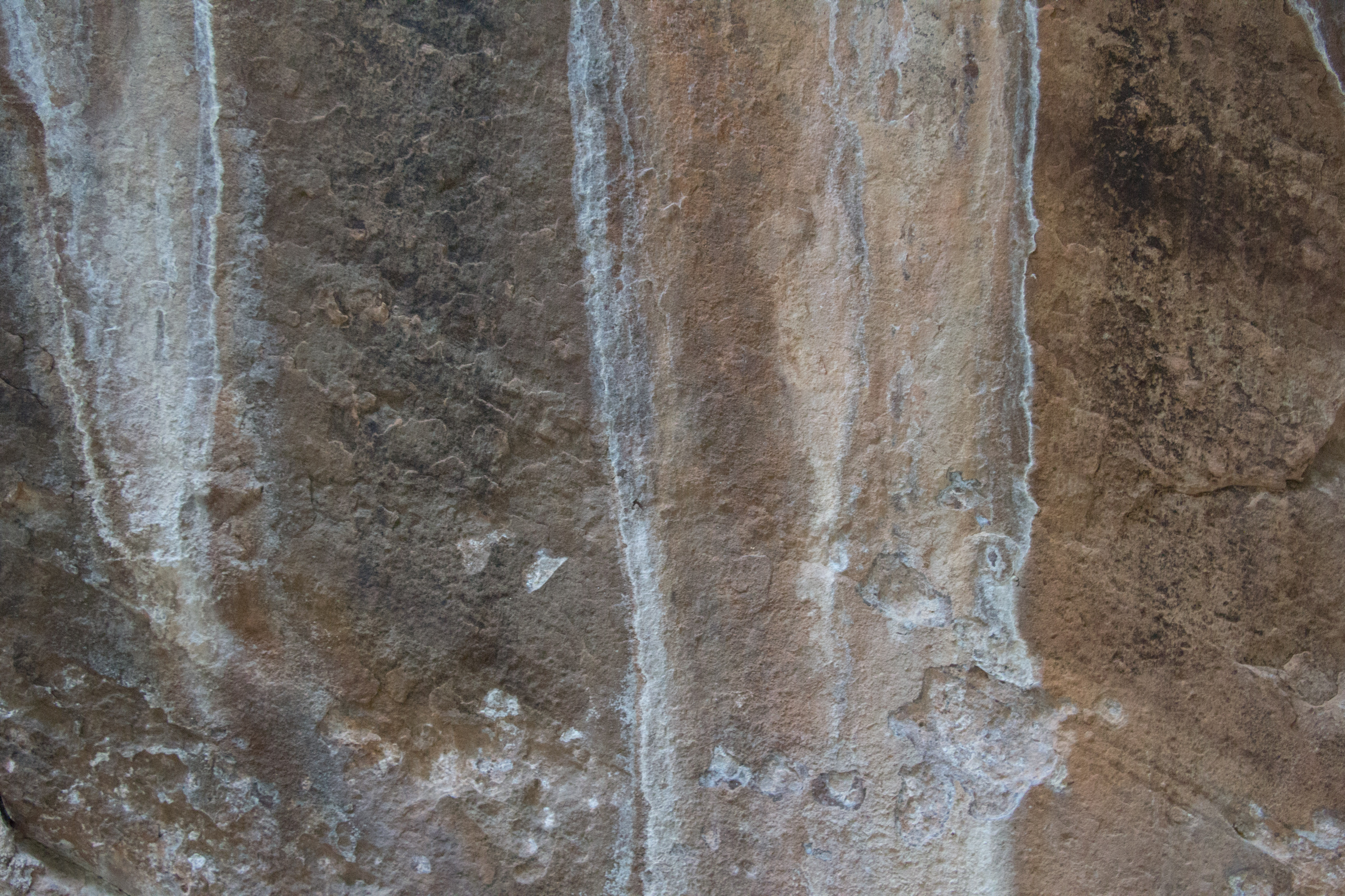 Grunge White Brown Surface Mixed Patterns