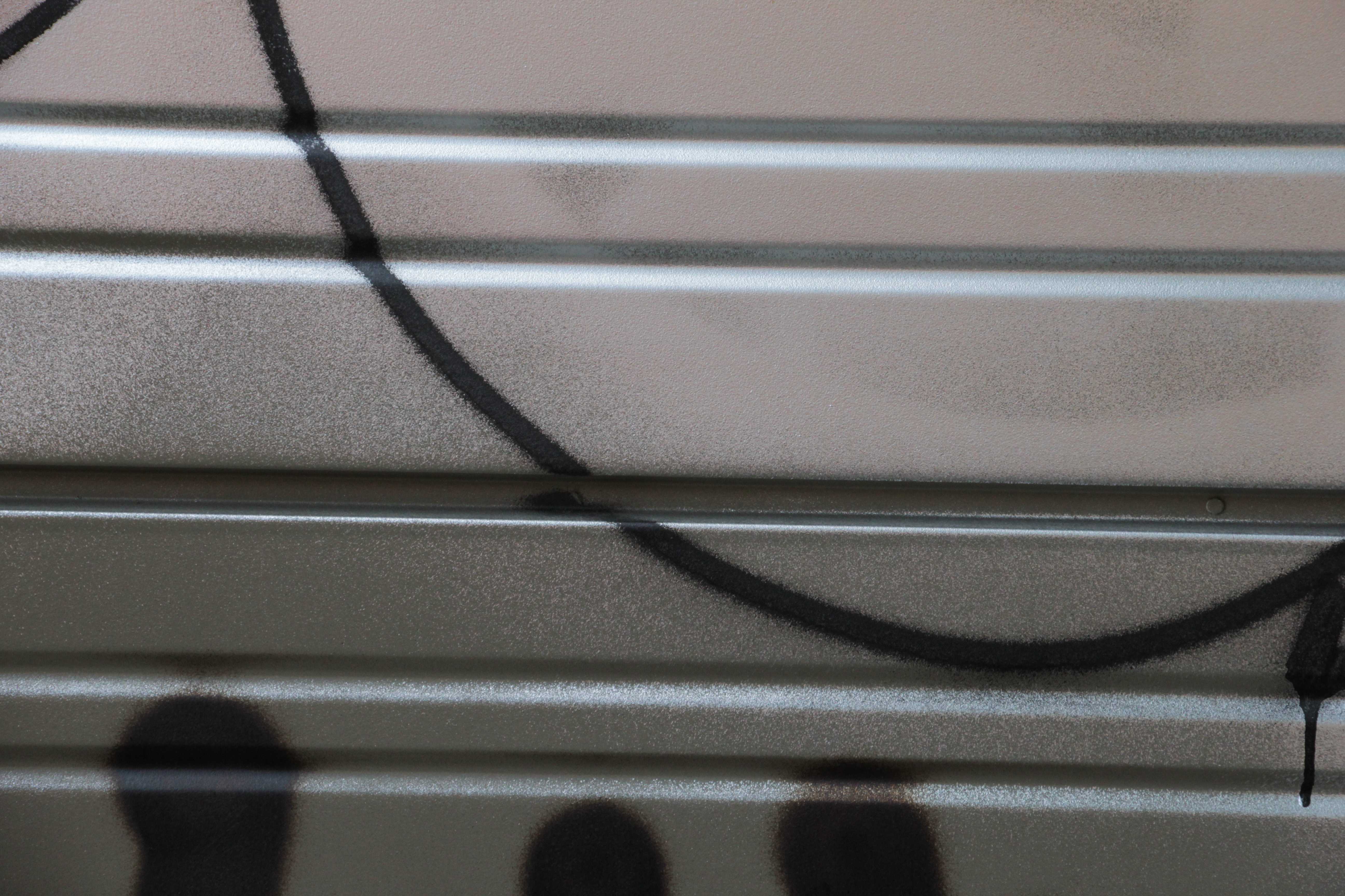 Metal Shop Door Front Entrance Stripes