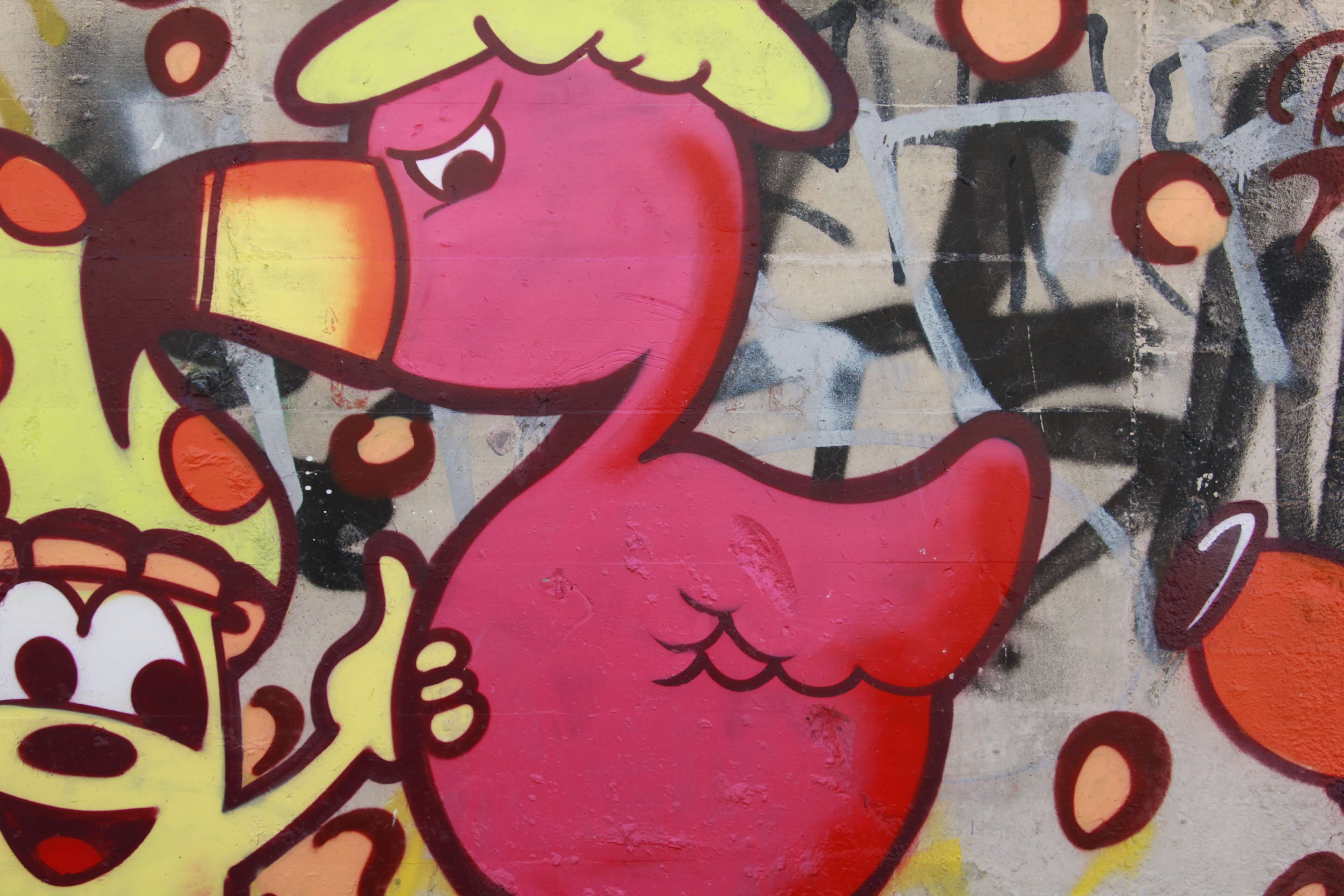 Pink Rubber Duck Graffiti Spray Paint Wall