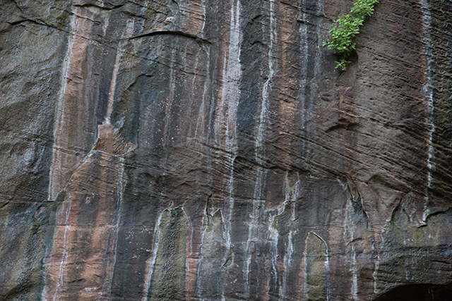 Stone With Algae Wall White Stripes