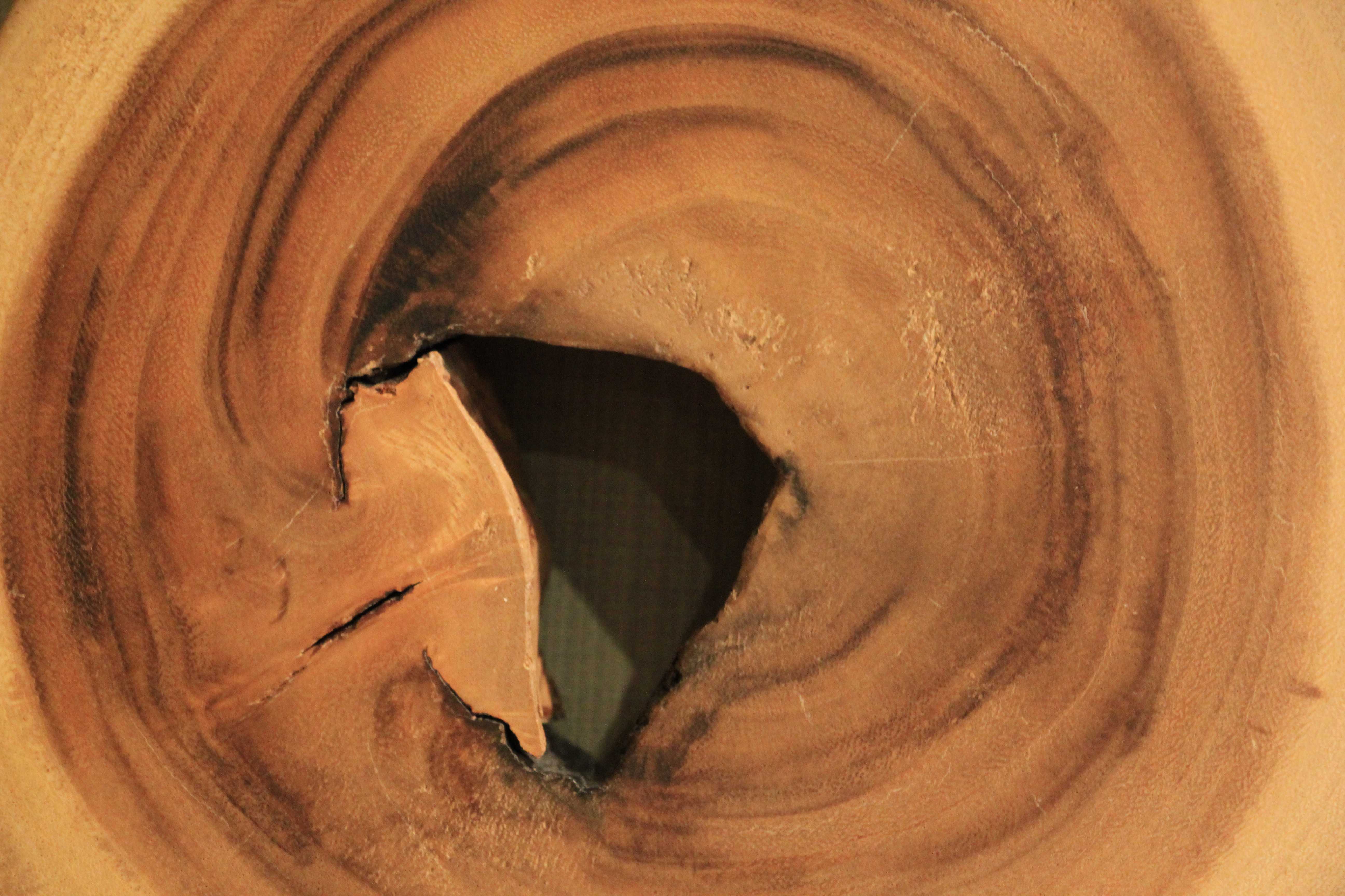 Wood Texture Round Circle Canyon Shape Tree