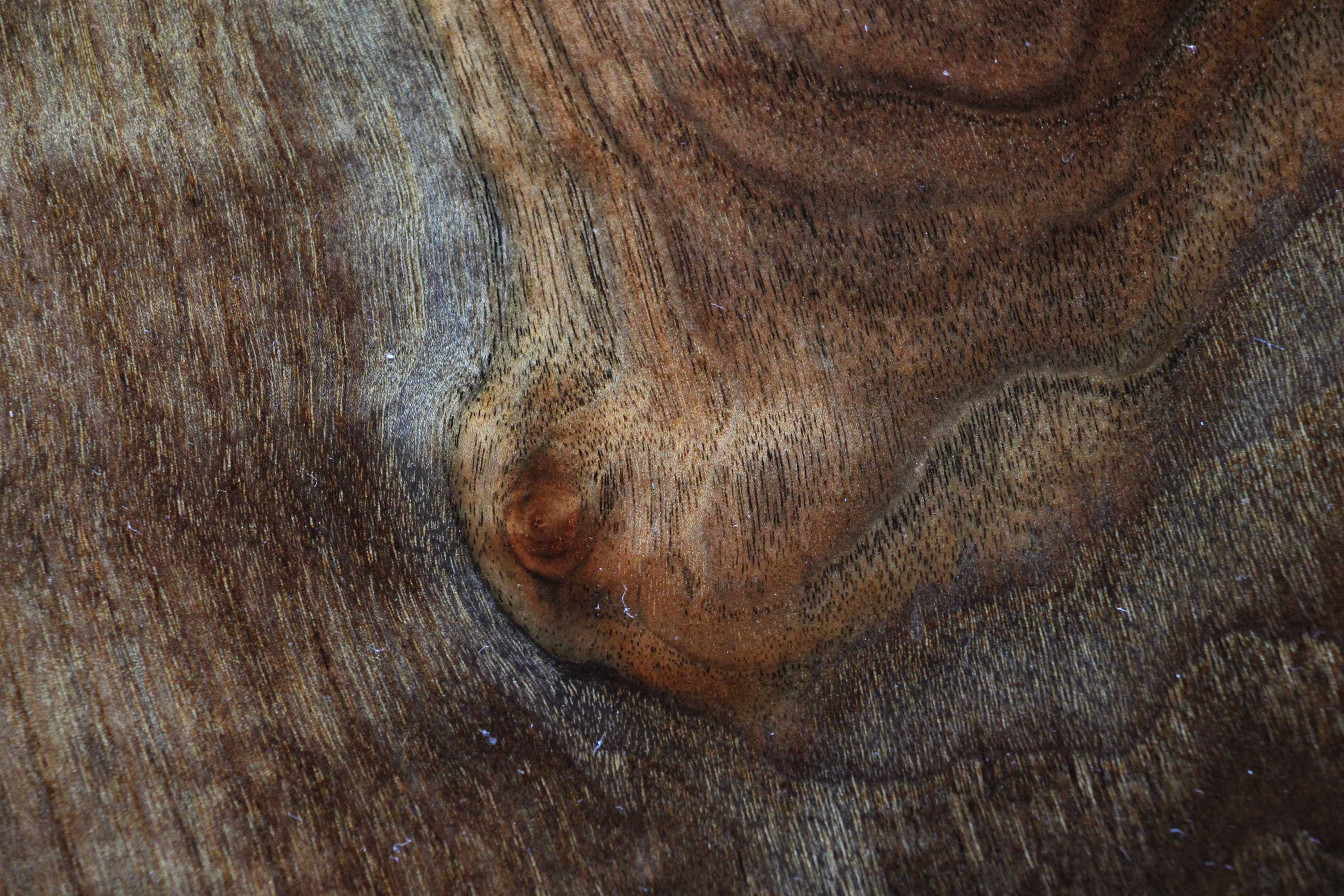 Wood Texture Round Grunge Wallpaper