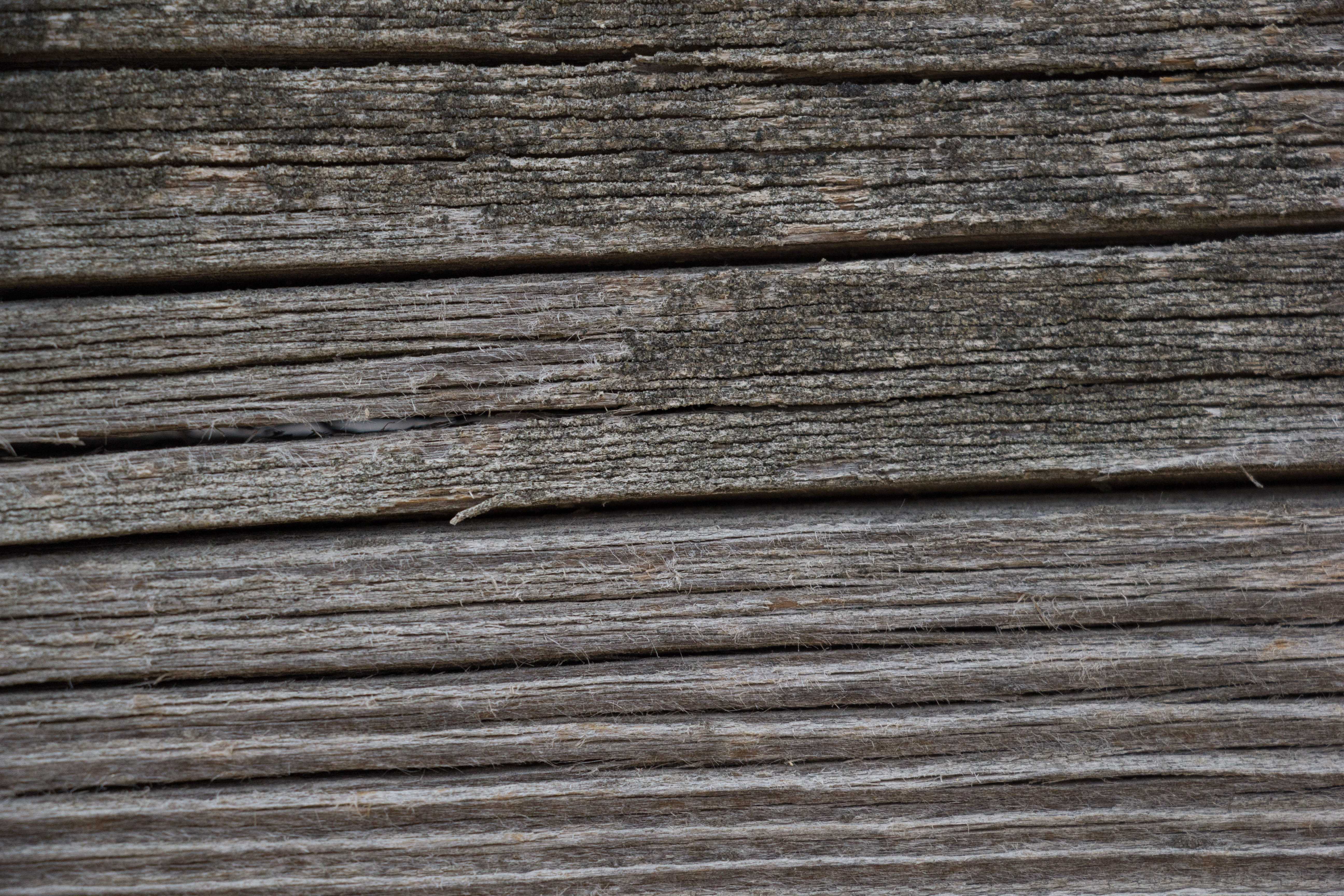 Wood Texture Slithers Of Insides Excellent