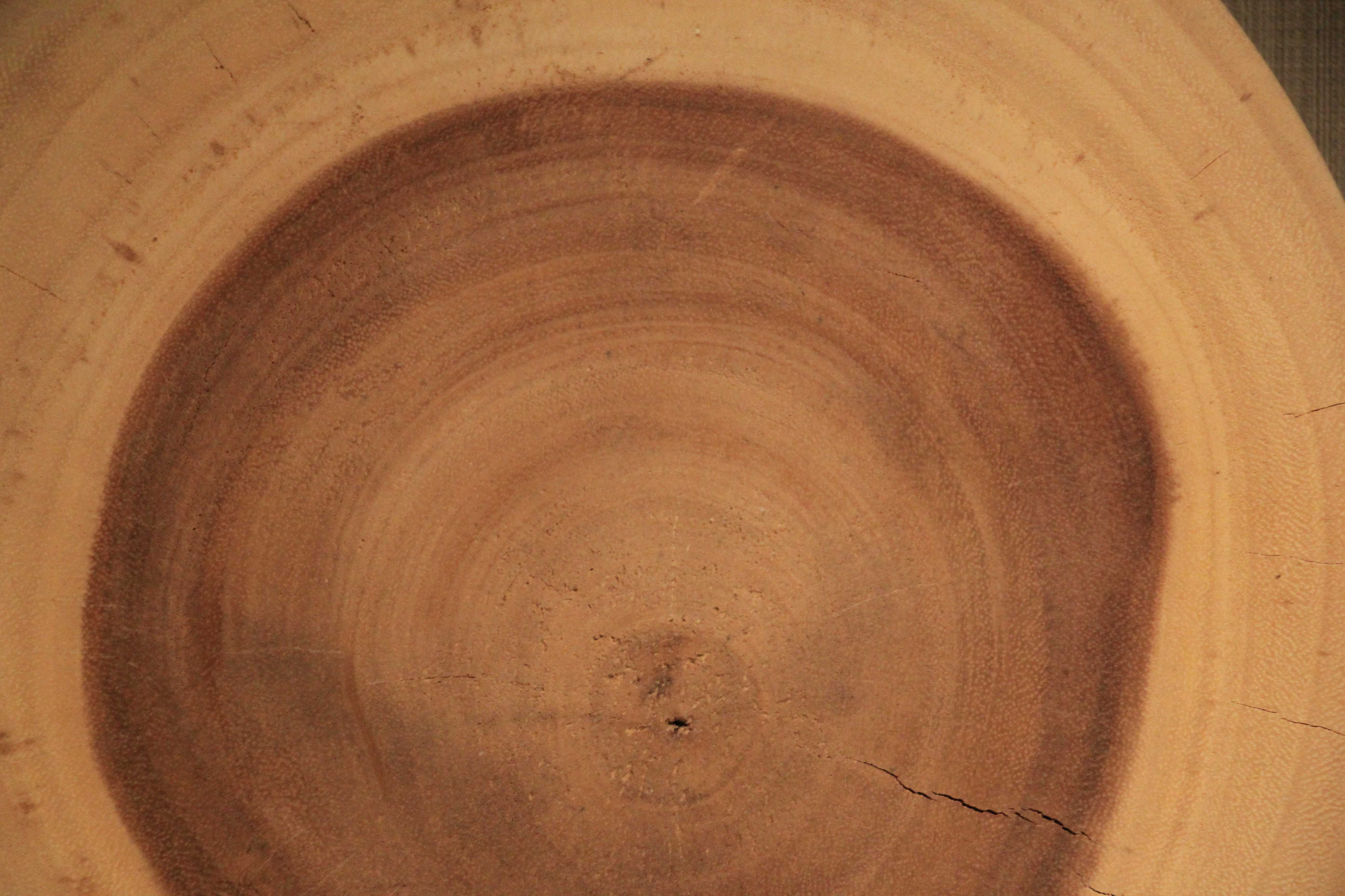 Wood Texture Two Loops Wonderful